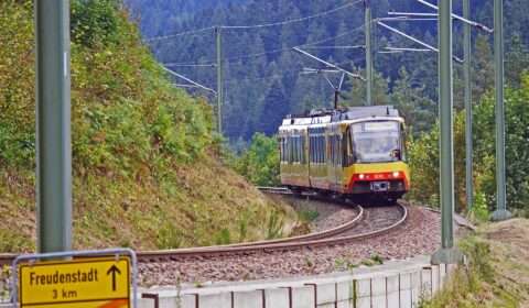 S-Bahn-Ausfälle zw. Karlsruhe & Bruchsal, 24.-31. Juli 2025